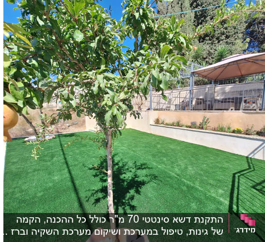 עץ רימון ודשא ירוק בגינה מטופחת